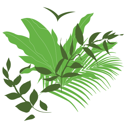 cropped-favicon.png