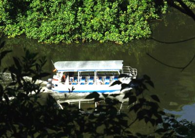 self tour daintree