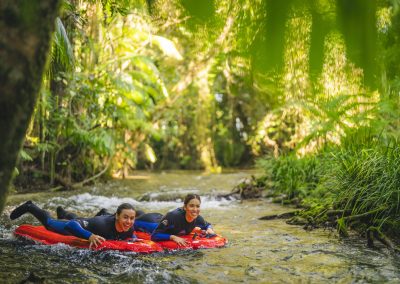 self tour daintree