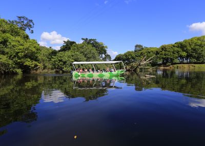 self tour daintree