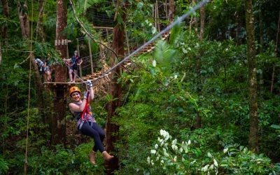 Exploring the Daintree with Teenagers