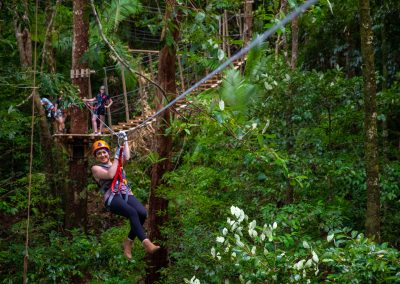 self tour daintree