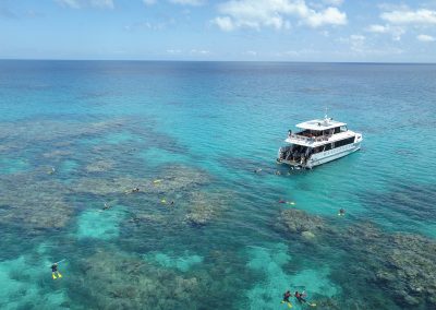 Wavelength Outer Reef Snorkel Tour from Port Douglas